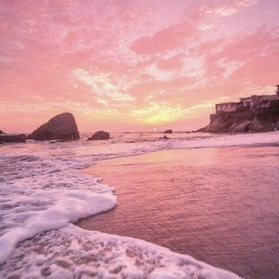 乐鱼app下载手机app下载