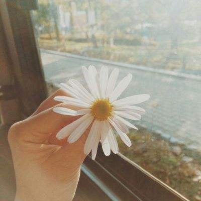 博鱼·中国体育官网